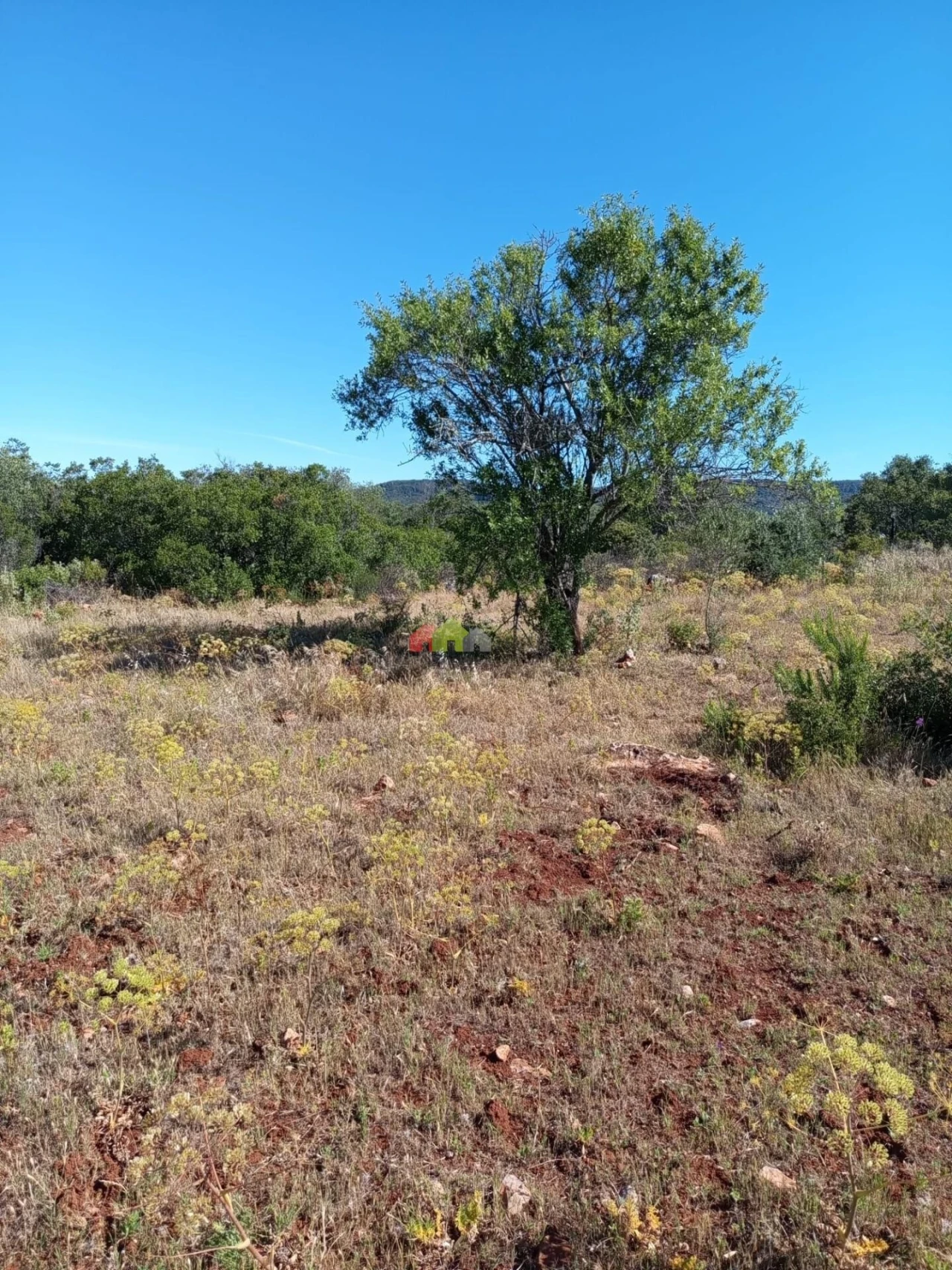 Terreno para Venda em Salir Foto 9