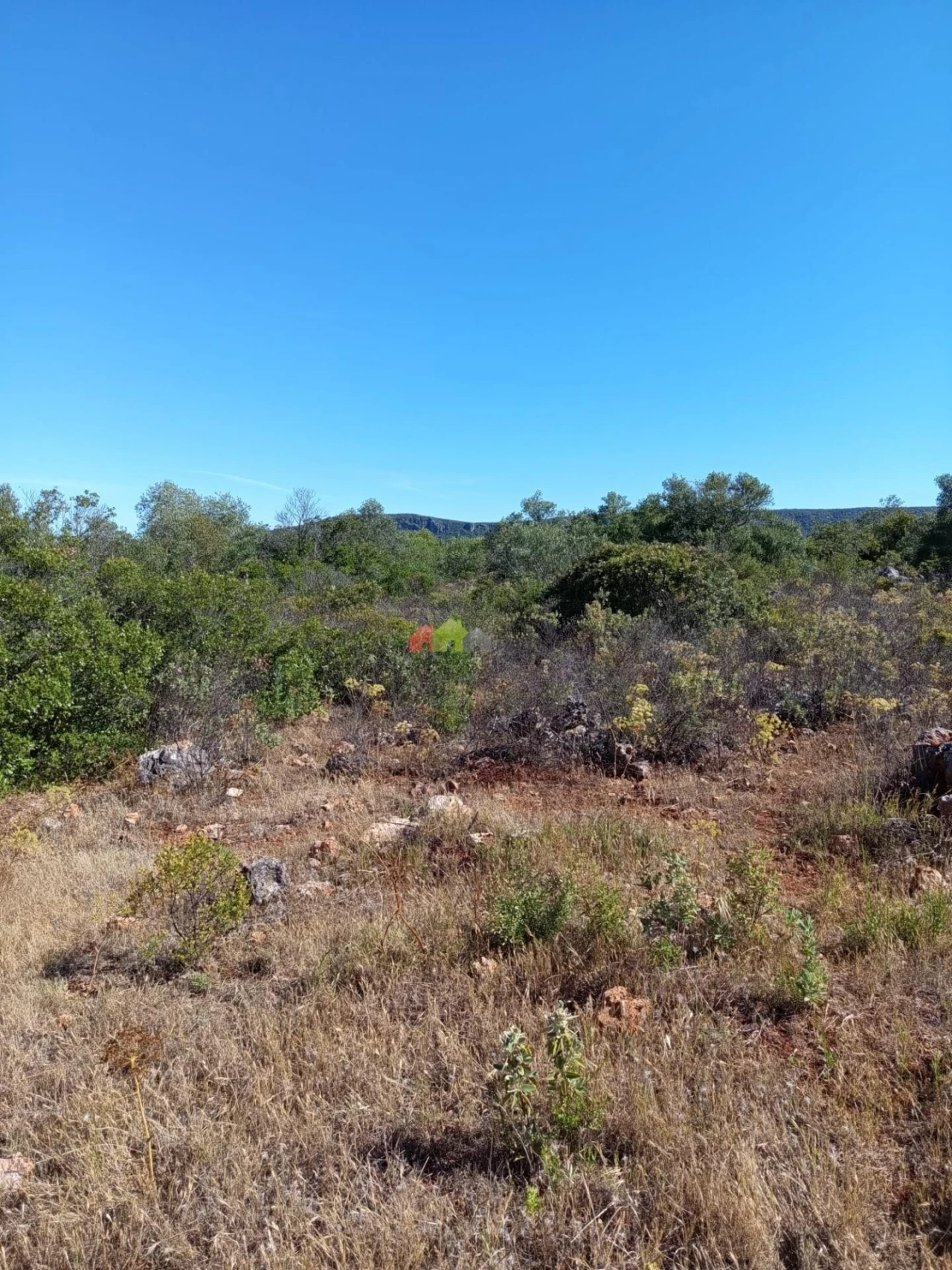 Terreno para Venda em Salir Foto 6