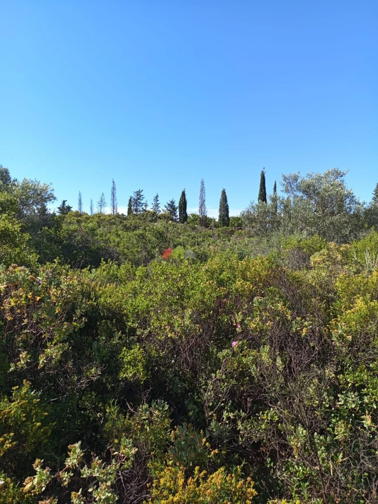 Terreno para Venda em Salir Foto 10