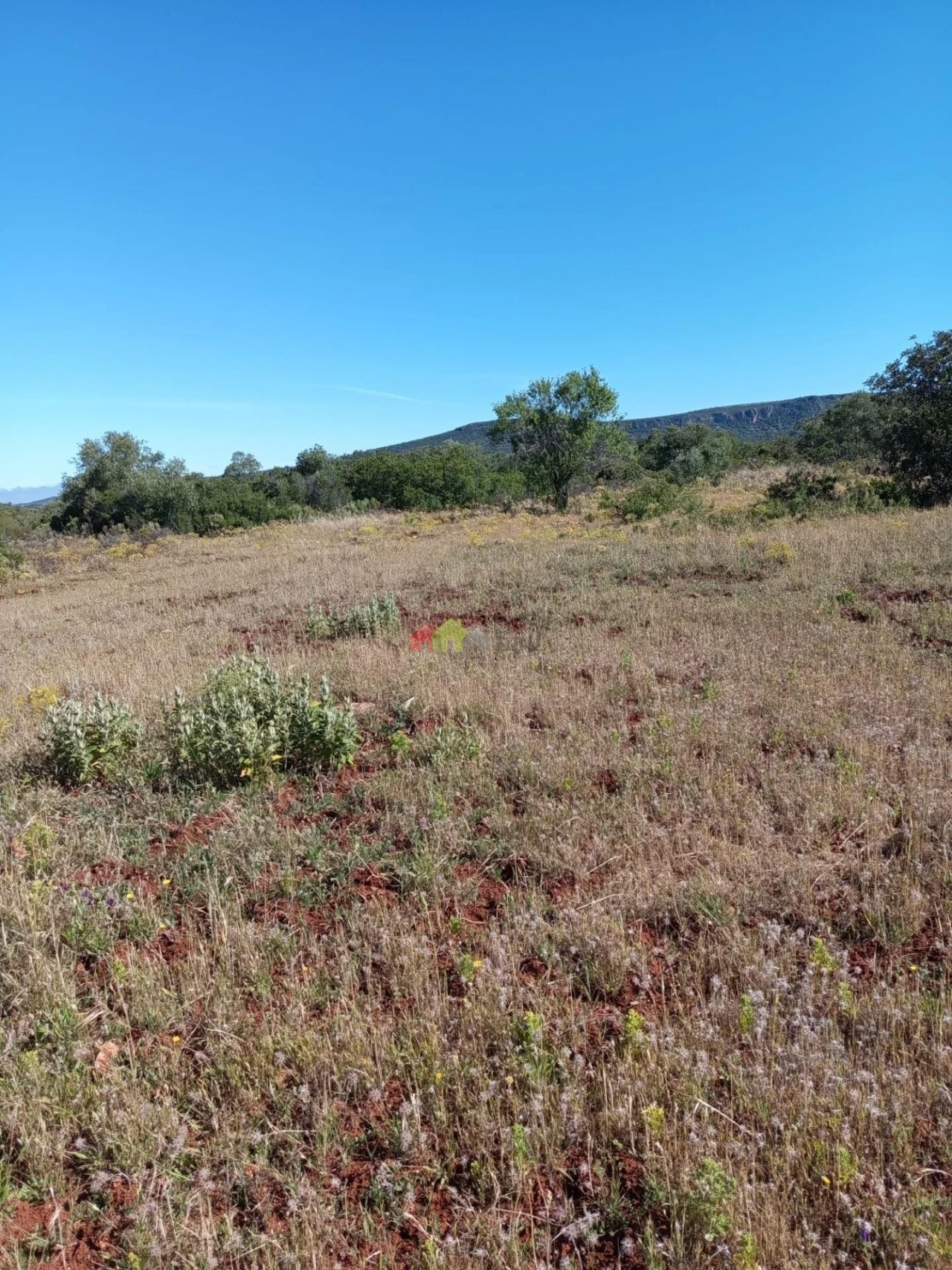 Terreno para Venda em Salir Foto 8