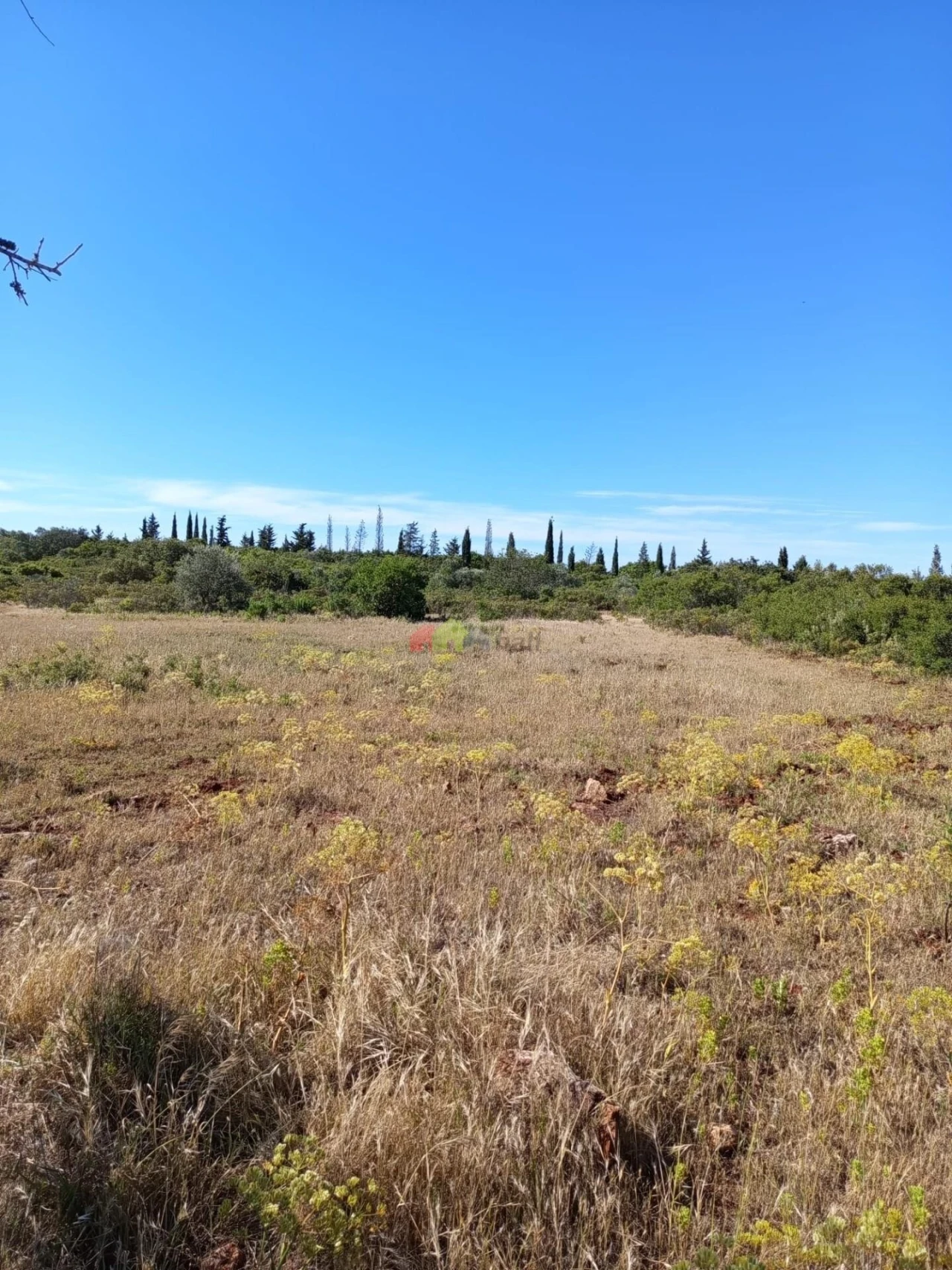 Terreno para Venda em Salir Foto 3