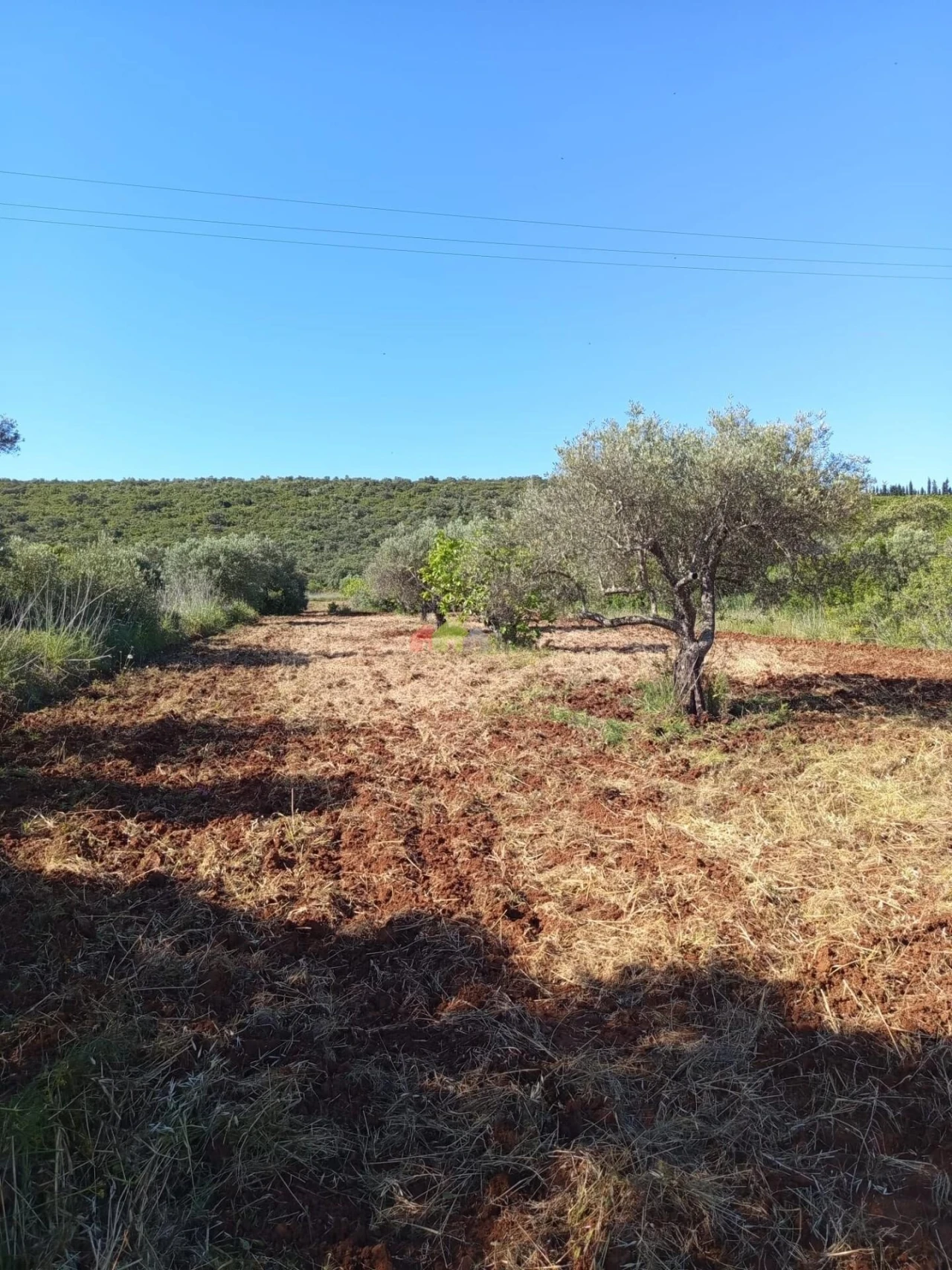 Terreno para Venda em Salir Foto 2