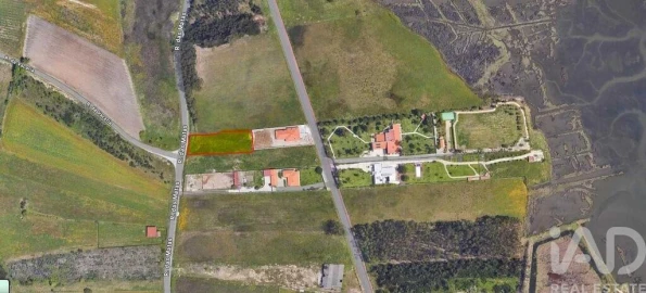 Terreno para Venda em Vagos e Santo António
