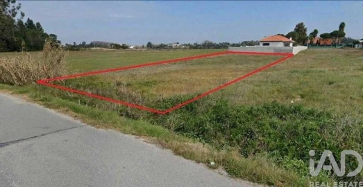 Terreno para Venda em Vagos e Santo António