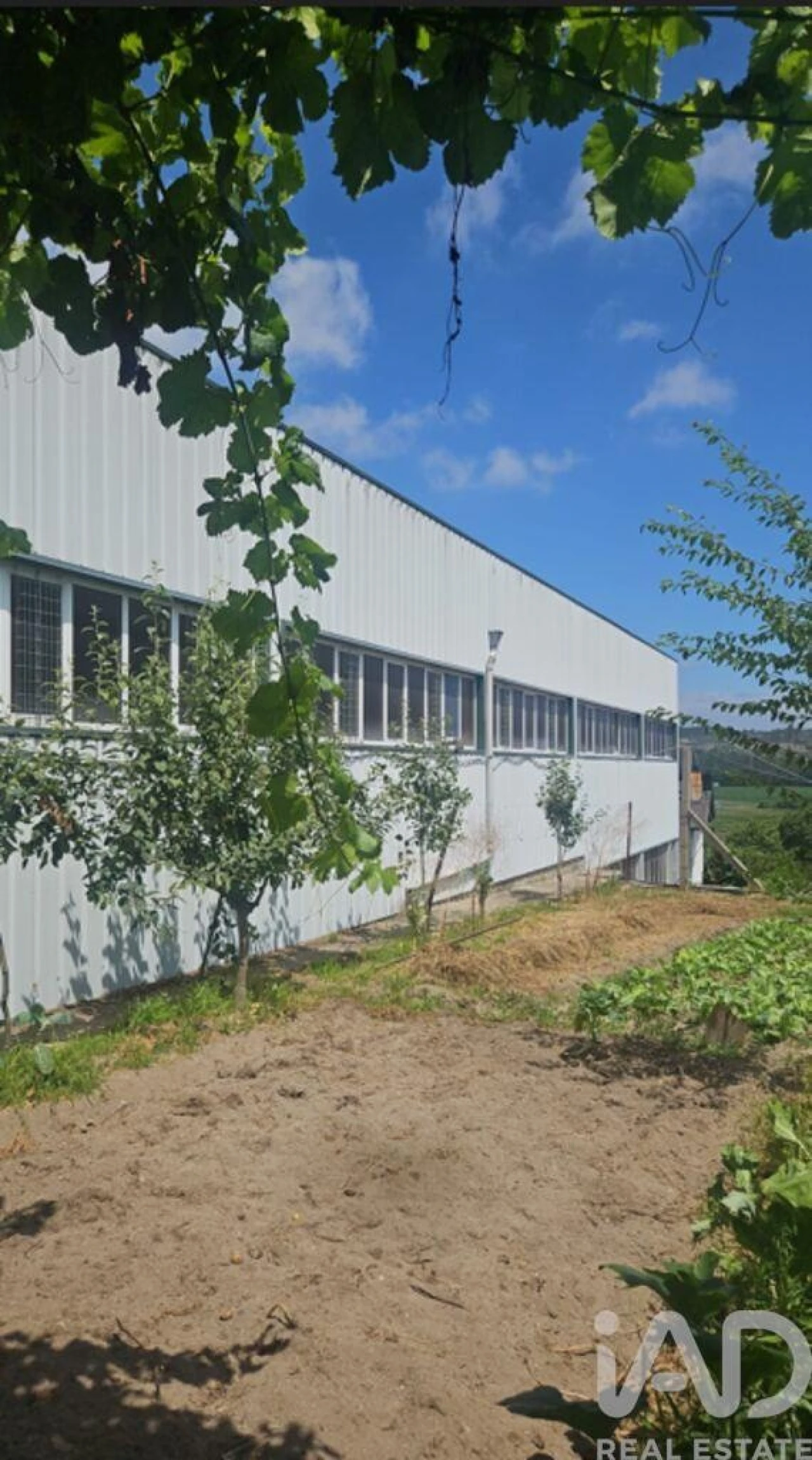 Armazém para Venda em Raimonda Foto 6