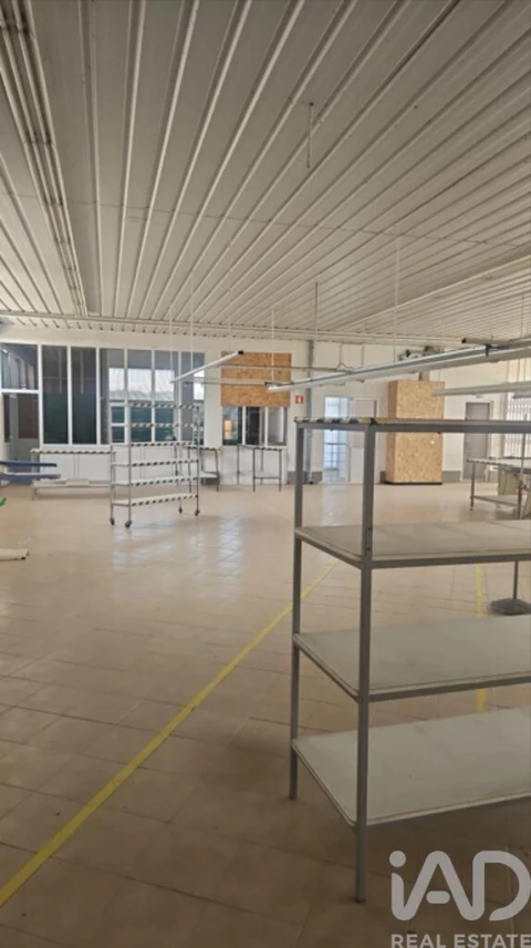 Armazém para Venda em Raimonda