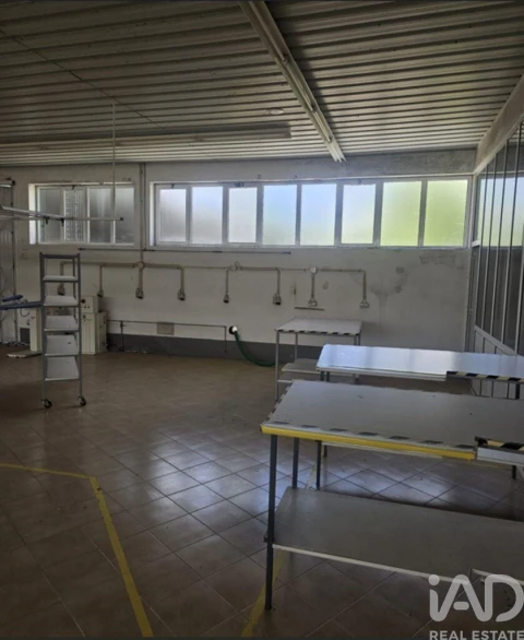 Armazém para Venda em Raimonda