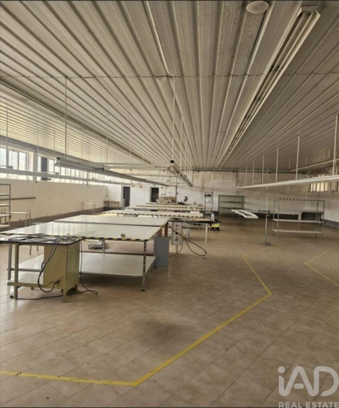 Armazém para Venda em Raimonda