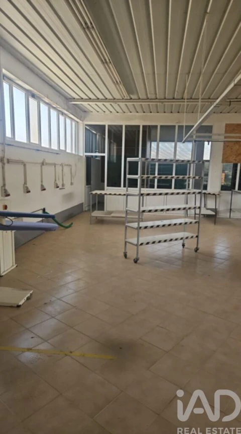 Armazém para Venda em Raimonda