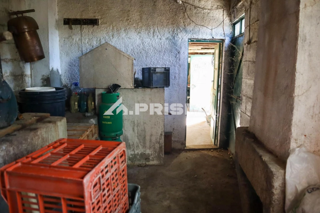 Quinta para Venda em Louriçal do Campo Foto 4