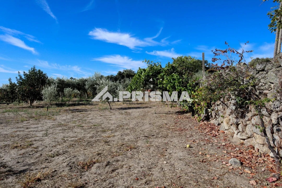 Quinta para Venda em Louriçal do Campo Foto 33