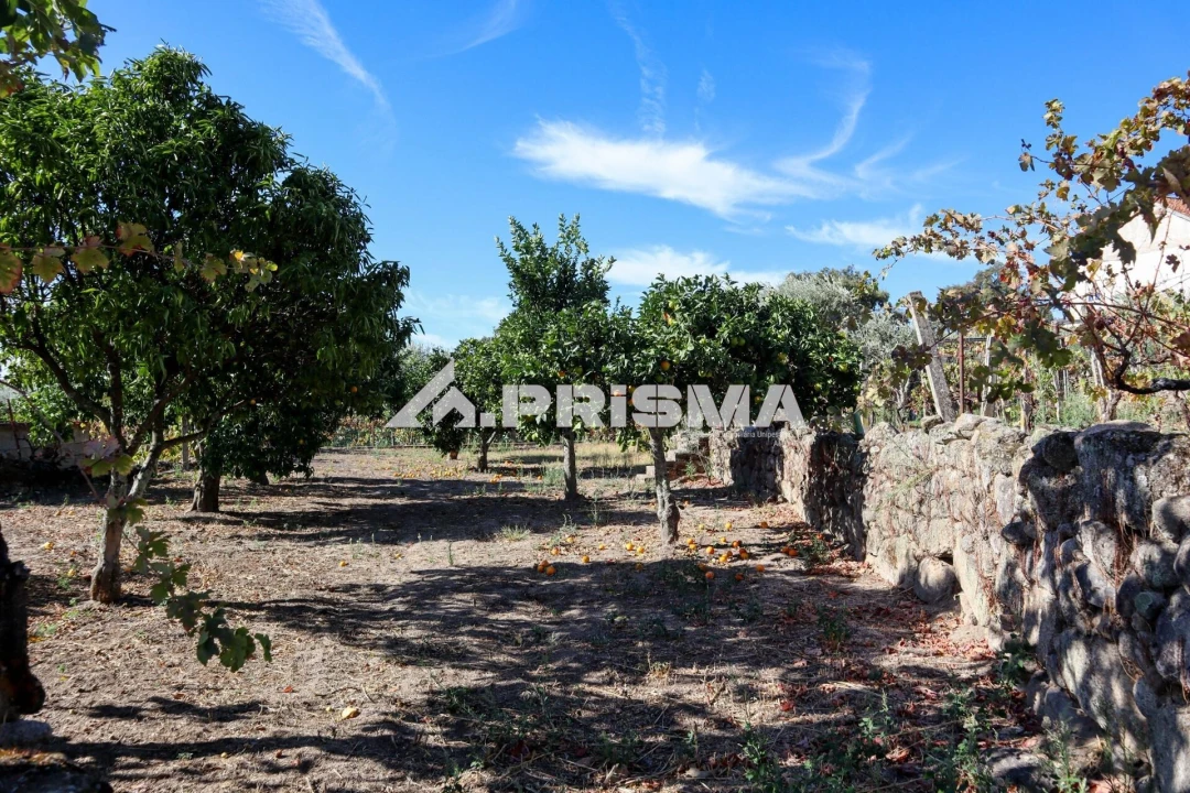 Quinta para Venda em Louriçal do Campo Foto 40