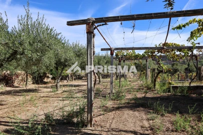 Quinta para Venda em Louriçal do Campo