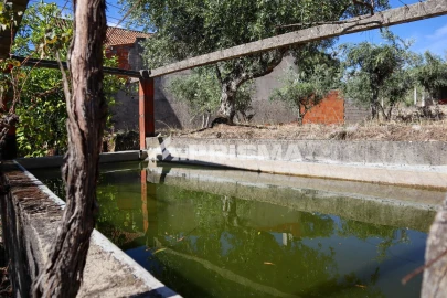 Quinta para Venda em Louriçal do Campo