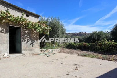 Quinta para Venda em Louriçal do Campo