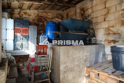 Quinta para Venda em Louriçal do Campo