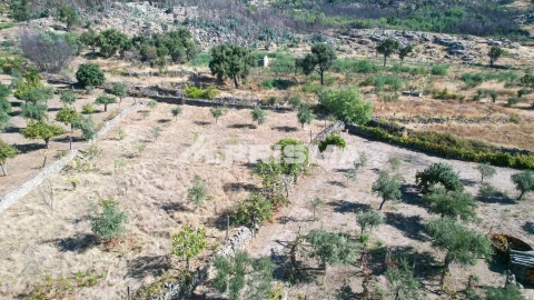Quinta para Venda em Louriçal do Campo