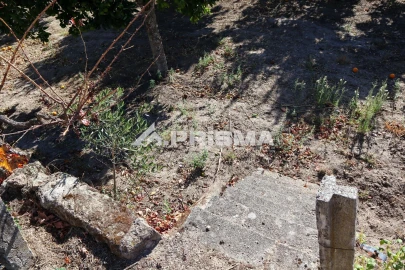 Quinta para Venda em Louriçal do Campo