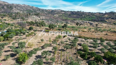 Quinta para Venda em Louriçal do Campo
