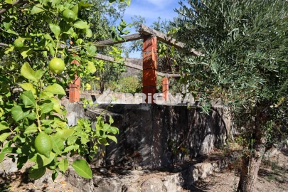 Quinta para Venda em Louriçal do Campo
