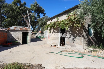 Quinta para Venda em Louriçal do Campo