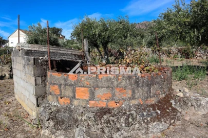 Quinta para Venda em Louriçal do Campo
