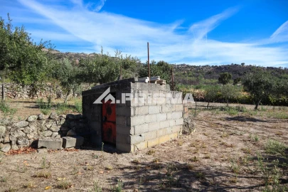 Quinta para Venda em Louriçal do Campo
