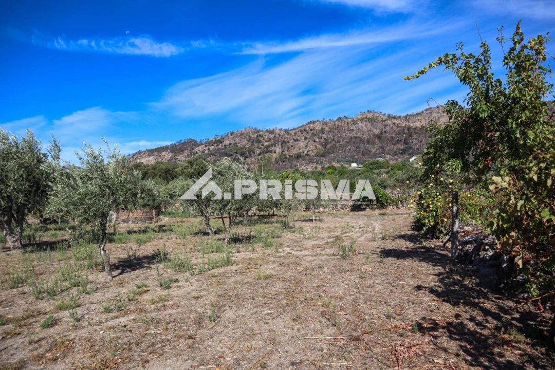 Quinta para Venda em Louriçal do Campo Foto 44