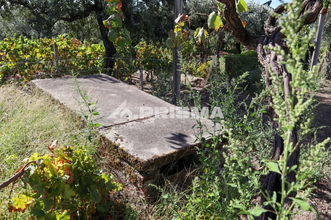 Quinta para Venda em Louriçal do Campo Foto 16