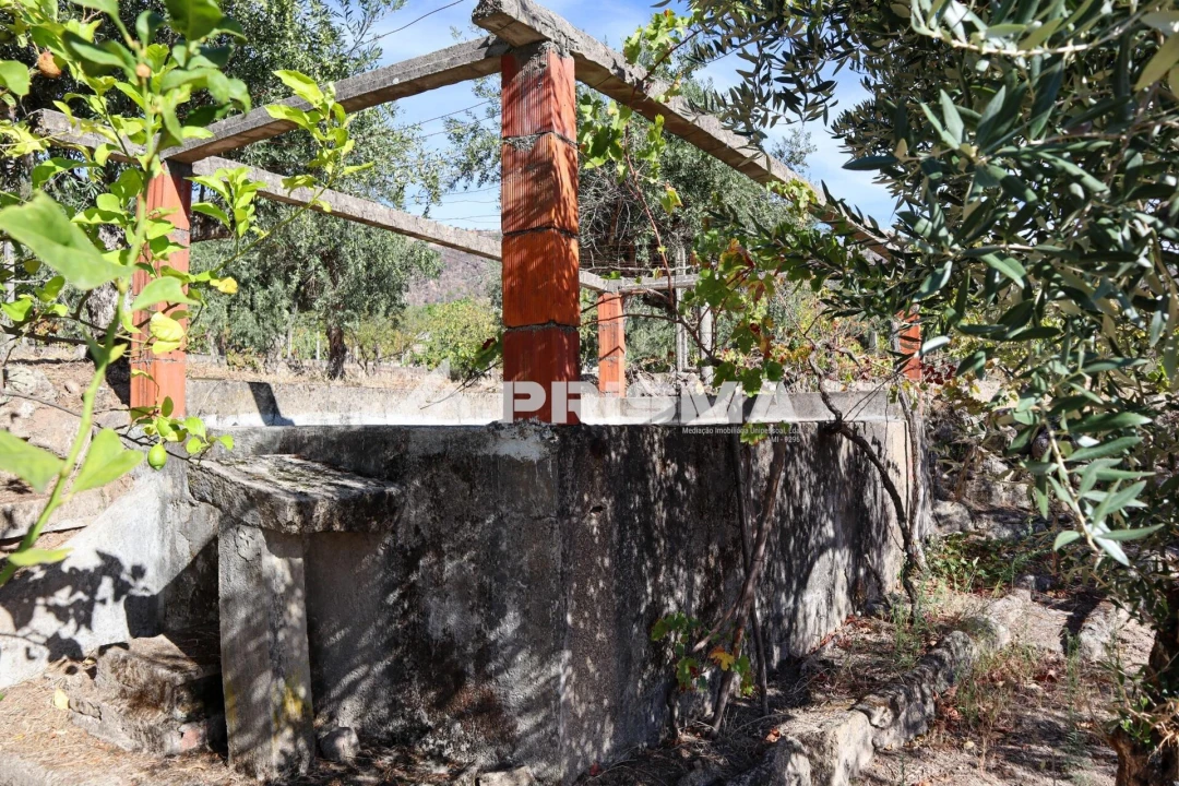 Quinta para Venda em Louriçal do Campo Foto 35