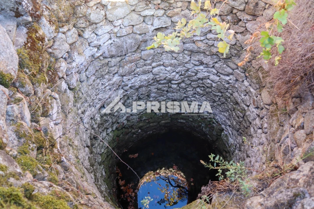 Quinta para Venda em Louriçal do Campo Foto 19