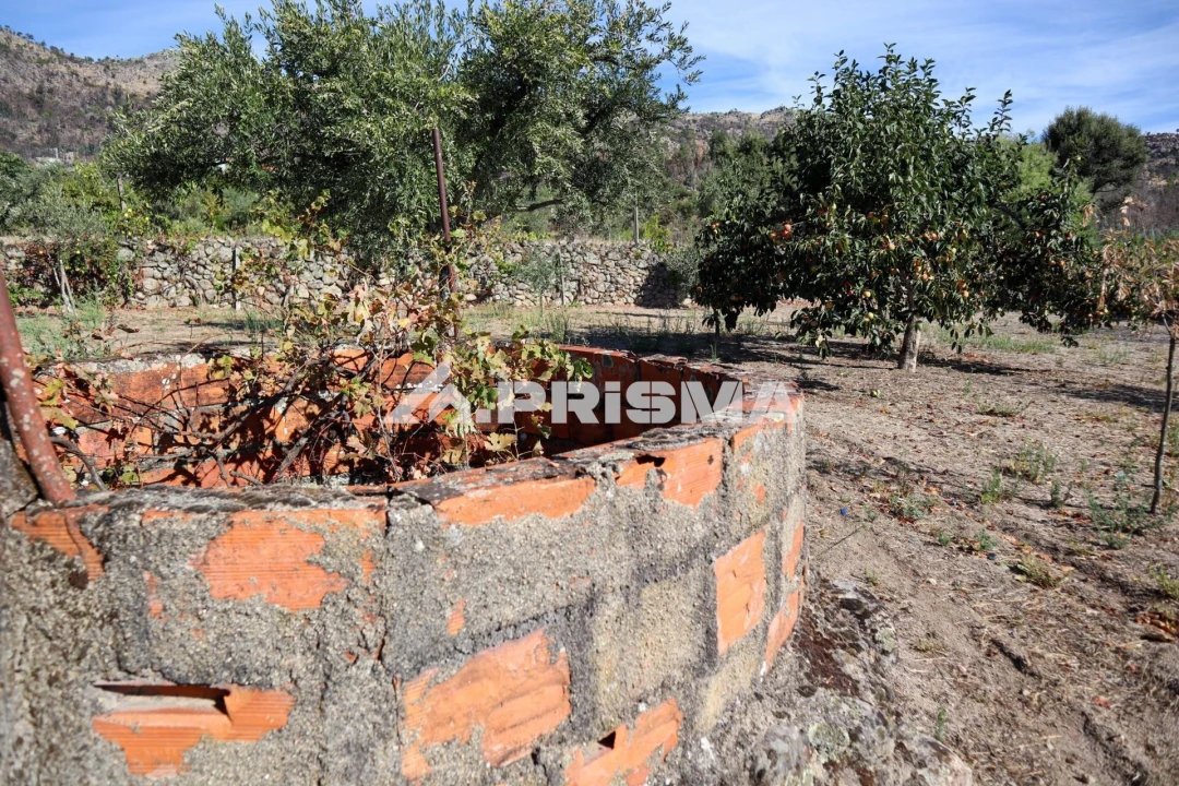 Quinta para Venda em Louriçal do Campo Foto 20