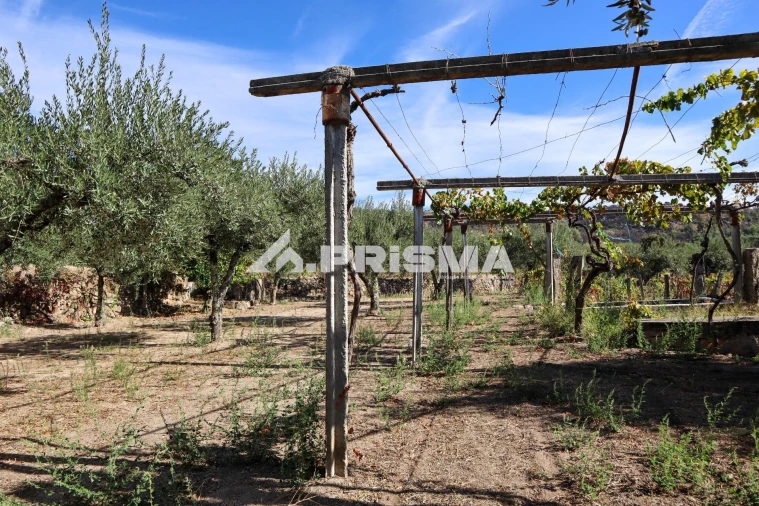 Quinta para Venda em Louriçal do Campo Foto 14