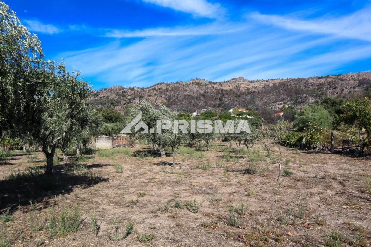 Quinta para Venda em Louriçal do Campo Foto 34
