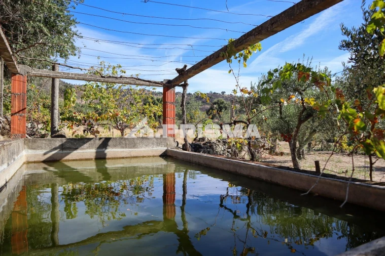 Quinta para Venda em Louriçal do Campo Foto 36