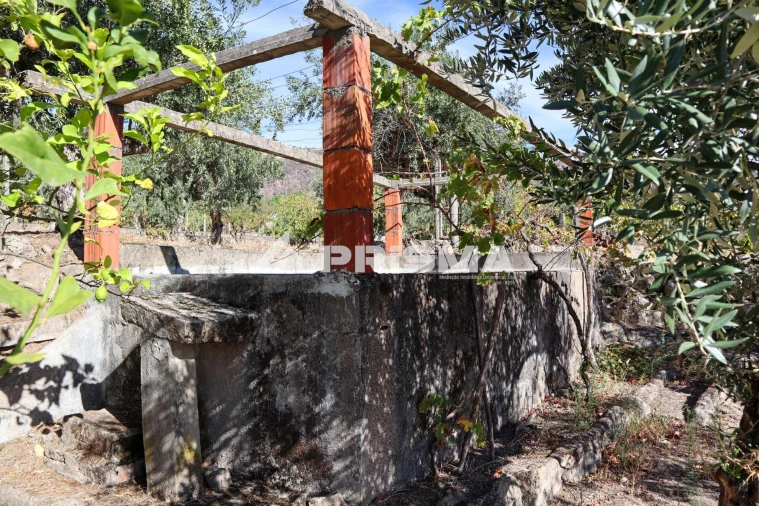 Quinta para Venda em Louriçal do Campo Foto 35