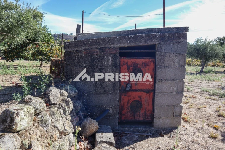 Quinta para Venda em Louriçal do Campo Foto 21