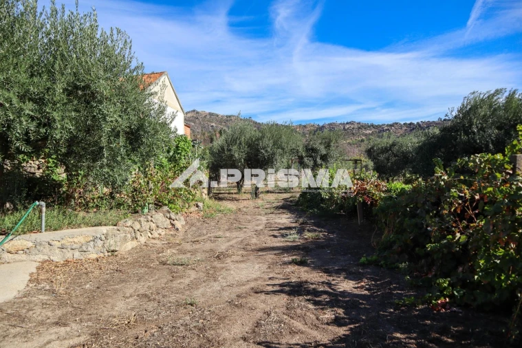 Quinta para Venda em Louriçal do Campo Foto 13