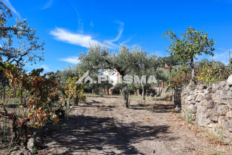 Quinta para Venda em Louriçal do Campo Foto 43