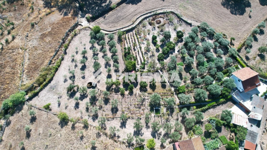 Quinta para Venda em Louriçal do Campo Foto 30