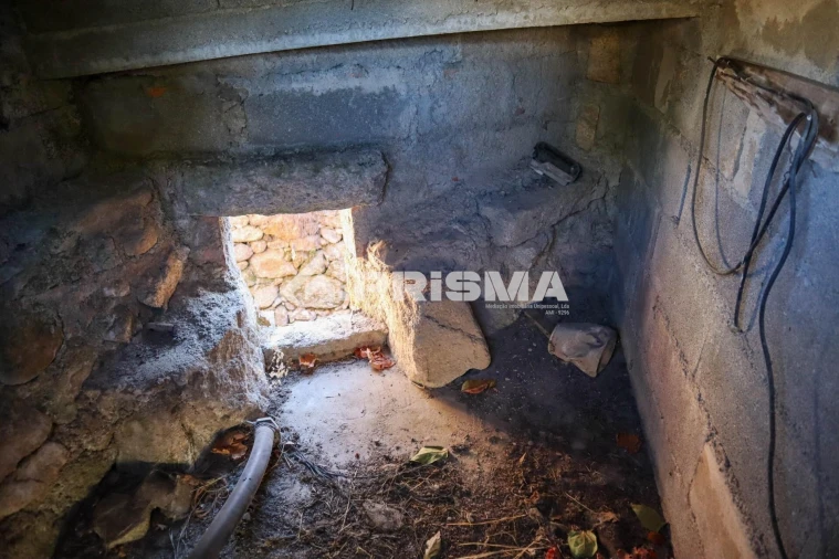 Quinta para Venda em Louriçal do Campo Foto 23