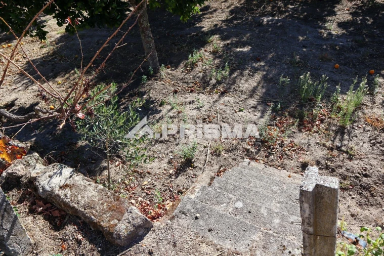 Quinta para Venda em Louriçal do Campo Foto 26