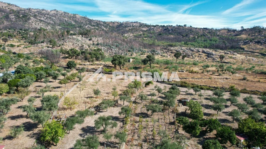 Quinta para Venda em Louriçal do Campo Foto 48
