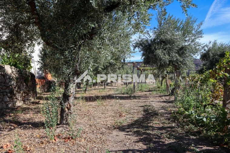 Quinta para Venda em Louriçal do Campo Foto 15