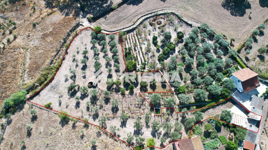 Quinta para Venda em Louriçal do Campo Foto 49