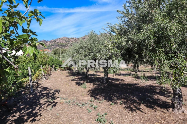 Quinta para Venda em Louriçal do Campo Foto 29