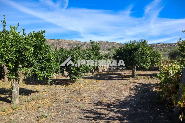Quinta para Venda em Louriçal do Campo Foto 27