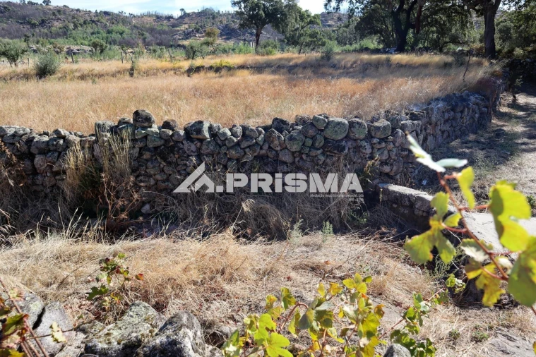 Quinta para Venda em Louriçal do Campo Foto 47
