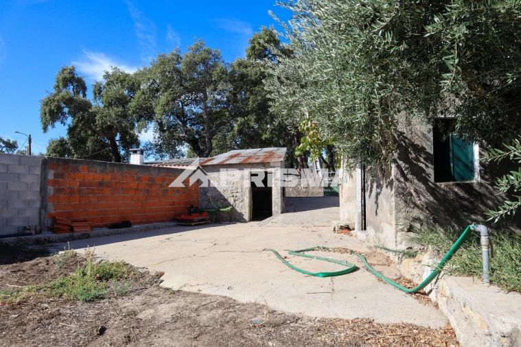 Quinta para Venda em Louriçal do Campo Foto 41