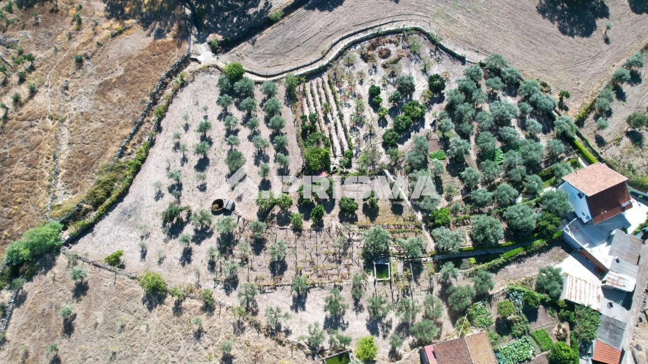 Quinta para Venda em Louriçal do Campo Foto 30